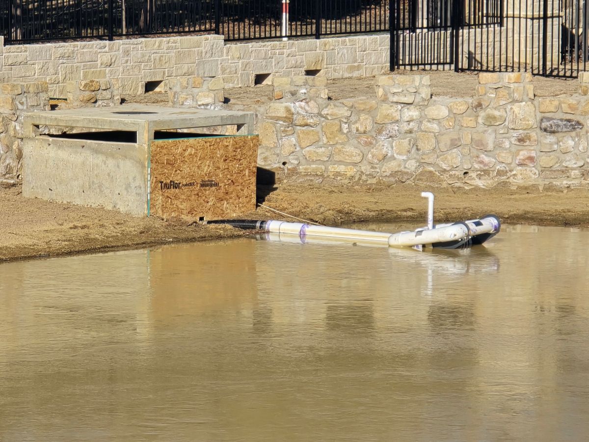 skimmer